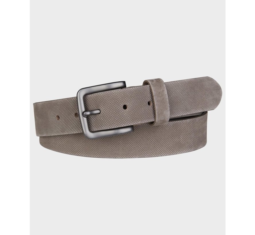 Lederen Riem Taupe Bruin (PM2R000075)