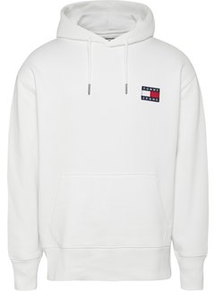 tommy hilfiger hooded jumper