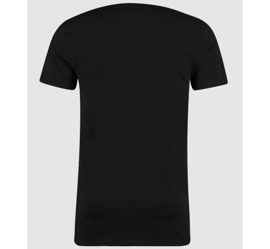 Basic T-shirts 2-pack Bio Cotton Bodyfit Zwart (0221 - 200)