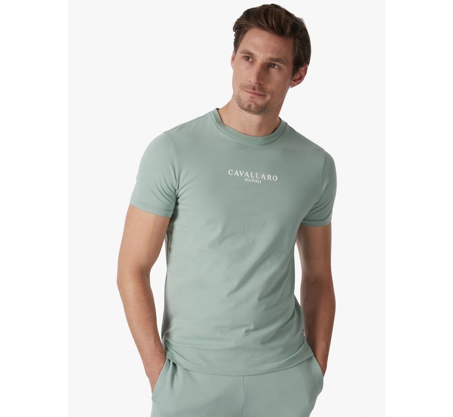 T-shirt Umberto Light Green (117221009 - 500000)