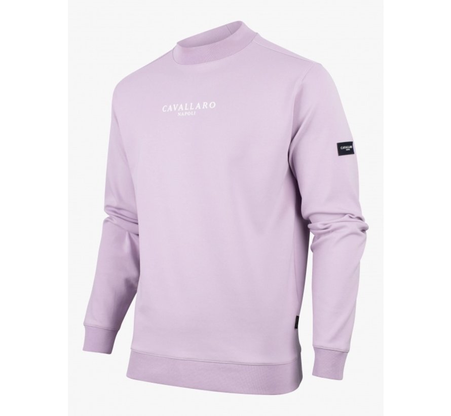 Sweater Baldini Ronde Hals Lilac (120221011 - 371000)