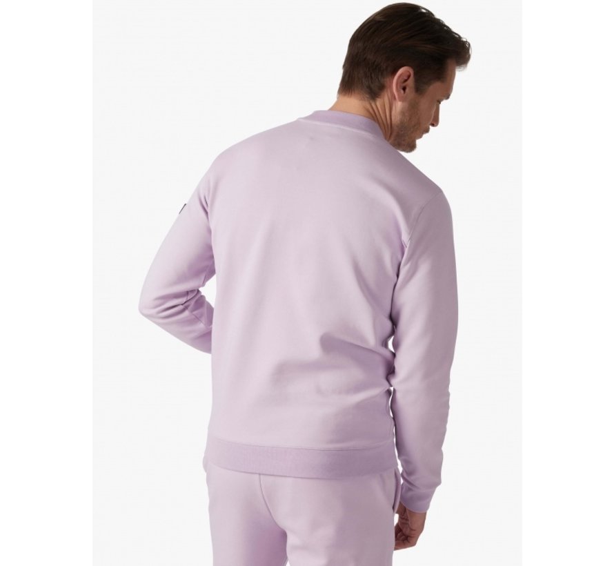 Sweater Baldini Ronde Hals Lilac (120221011 - 371000)