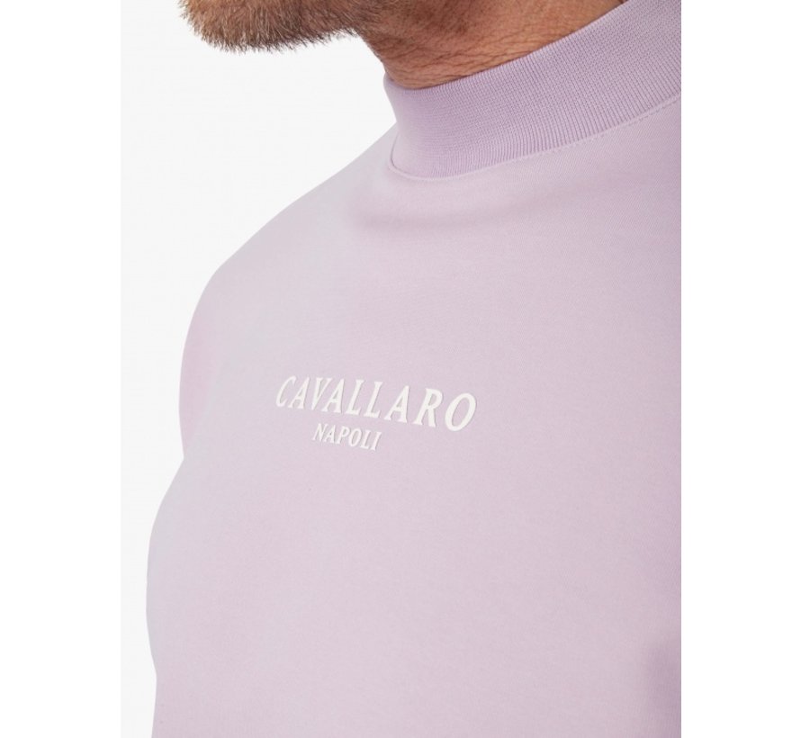 Sweater Baldini Ronde Hals Lilac (120221011 - 371000)
