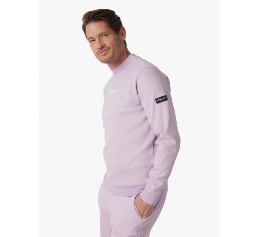 Sweater Baldini Ronde Hals Lilac (120221011 - 371000)