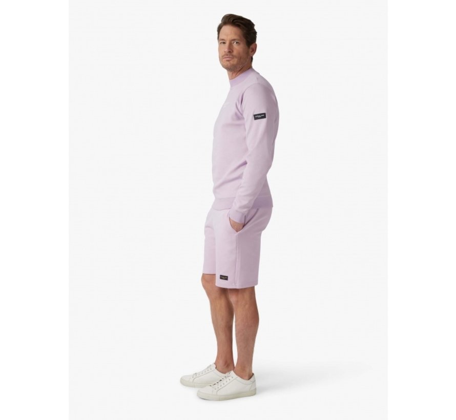 Sweater Baldini Ronde Hals Lilac (120221011 - 371000)