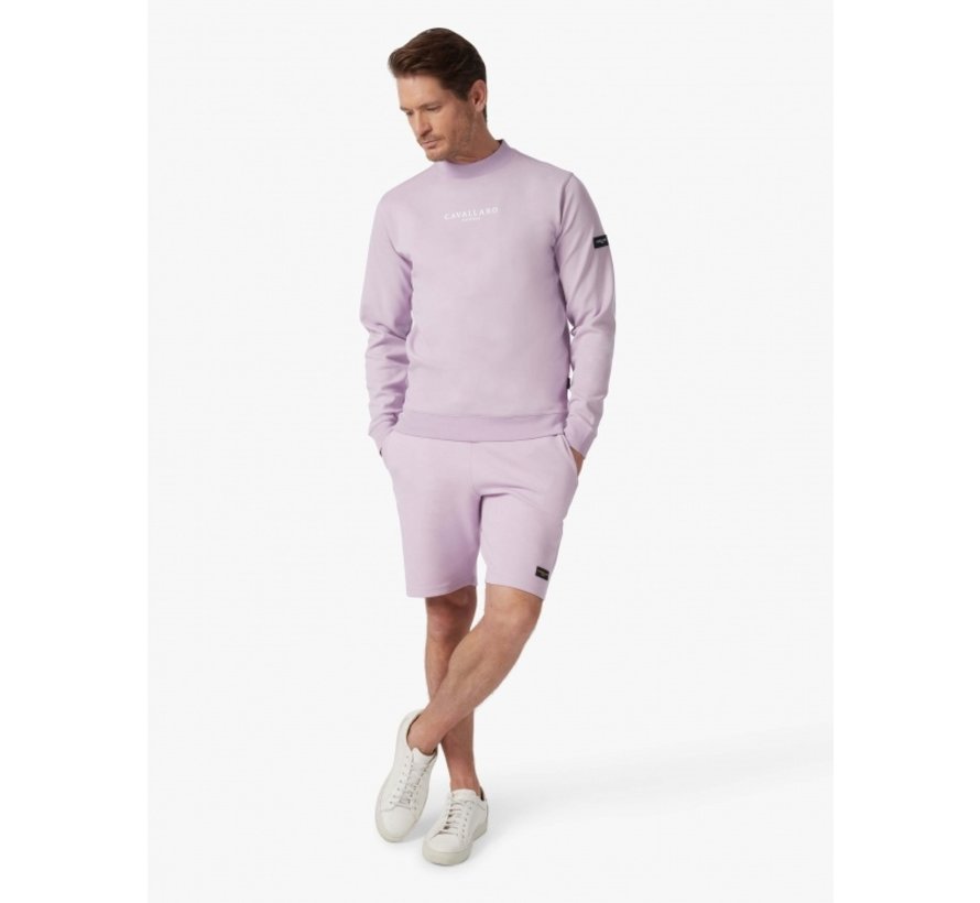 Sweater Baldini Ronde Hals Lilac (120221011 - 371000)