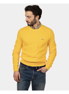 New Zealand Auckland Sweater Bog Cornfield Yellow (22AN475-1205)