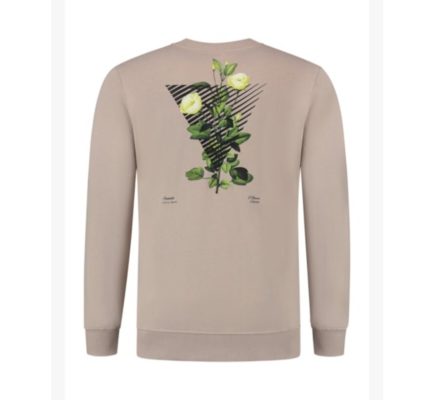 Crewneck with front print and back artwork Taupe (23030301 - 000053)