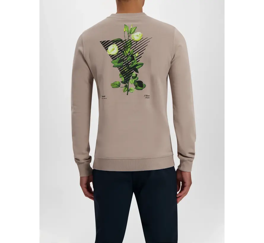 Crewneck with front print and back artwork Taupe (23030301 - 000053)