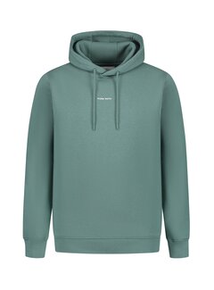 Pure Path Regular fit Hoodie Faded Green (24010301 - 76)