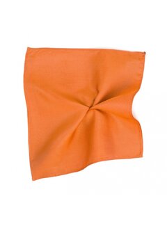 Tresanti Classic Ribbed Pocket Square Orange (TRHAZZ001 - 507)