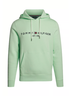 Tommy Hilfiger Hooded Sweater Mint Gel (MW0MW11599 - LXZ)