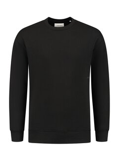 Pure Path Loose Fit Sweaters Crewneck LS Black (24030308 - 02)