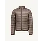 Mat DOWN JACKET TAUPE (P000MDOW02 - 808)