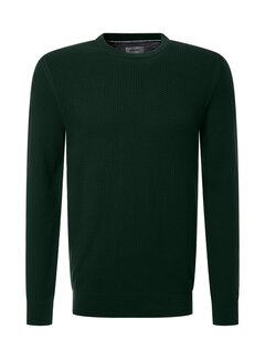 Pierre Cardin Pullover Green (C51000.5065 - 5317)