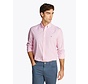 FLEX POPLIN BOLD STR Classic Pink / Optic White (MW0MW39159 - 0D1)