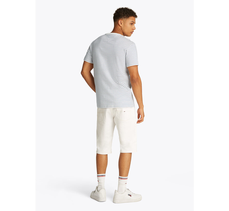 TJM SLIM STRIPE TEE Ecru / Tempo Blue (DM0DM20377 - 0BB)