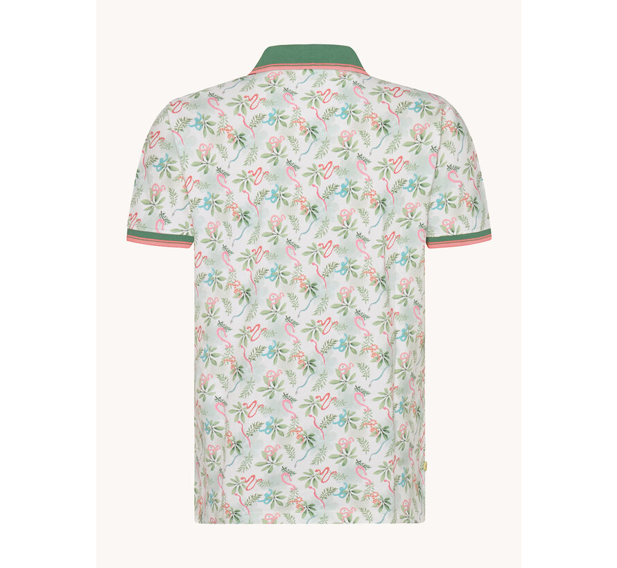Polo Snake Light Green (31.306.314)