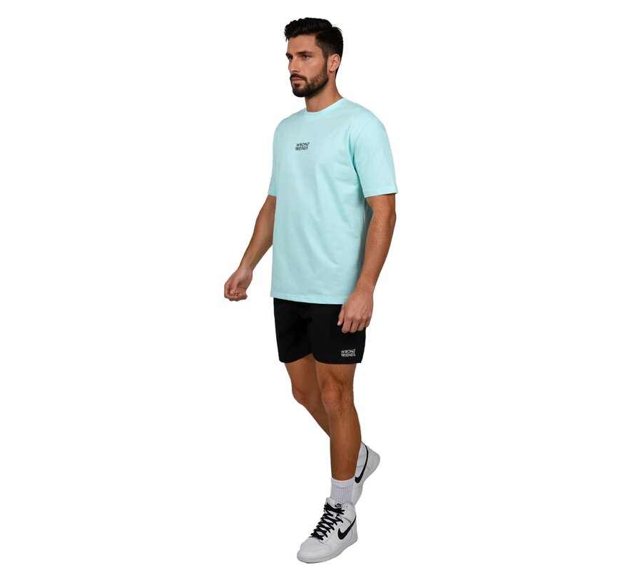SPRING VALLEY T-SHIRT LIGHT BLUE (WF1089 - LIGHT BLUE)