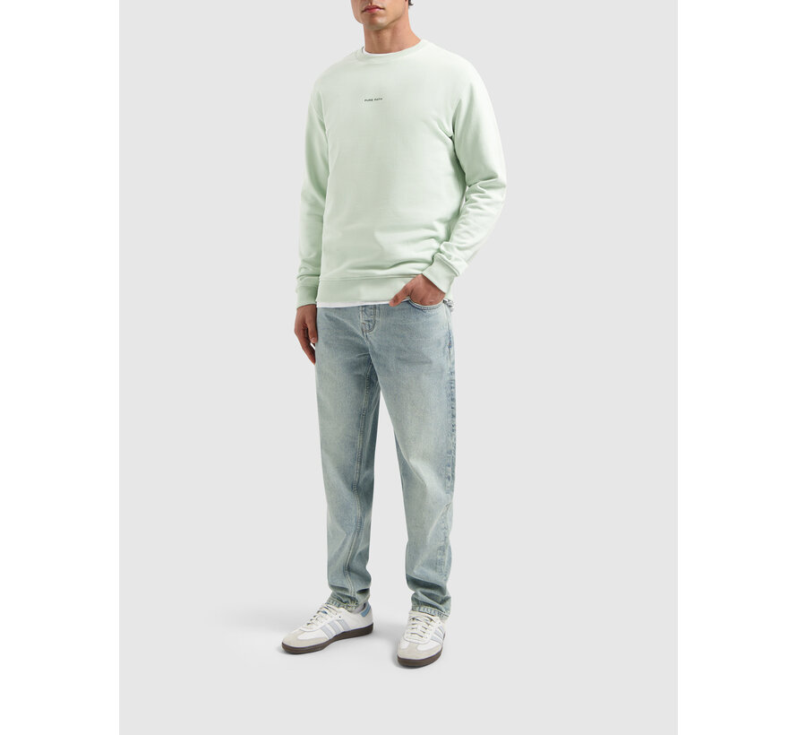 Tonal Floral Back Print Sweater Light Green (25110390 - 13)