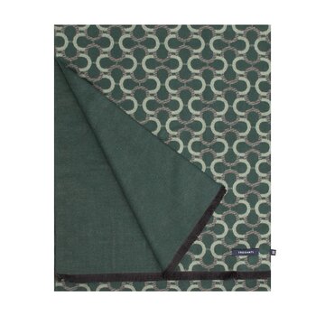 Tresanti DIANGELO Viscose scarf with half chain Green (TRSCIE205 - 900)