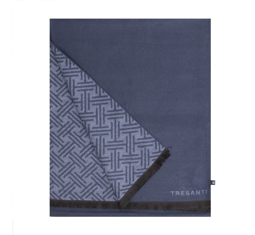 DIDIMO Viscose scarf with logo Navy (TRSCIE216 - 803)