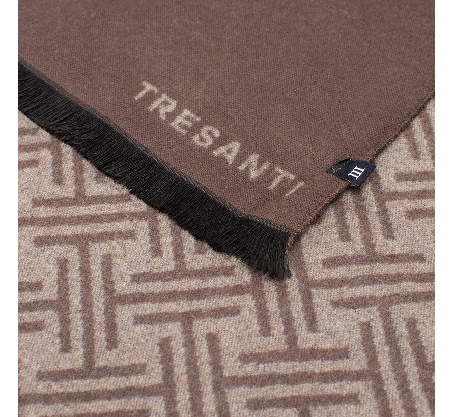 DIDIMO Viscose scarf with logo Dark brown (TRSCIE216 - 402)