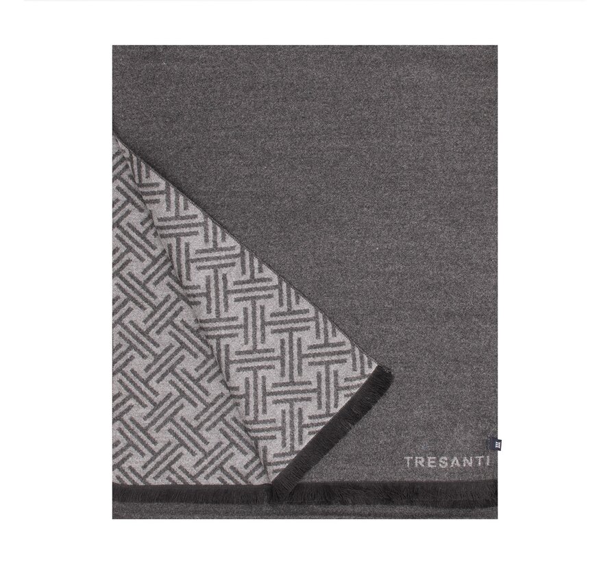 DIDIMO Viscose scarf with logo Anthracite (TRSCIE216 - 202)