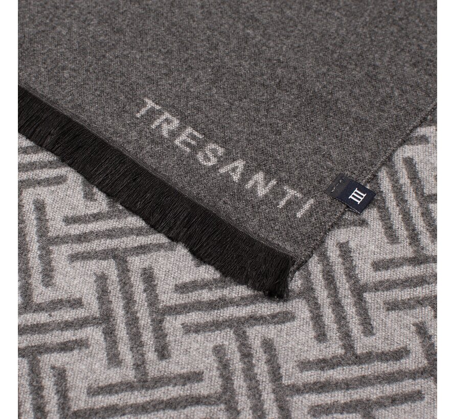 DIDIMO Viscose scarf with logo Anthracite (TRSCIE216 - 202)
