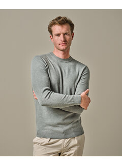 Profuomo Crew Neck Pullover Green (PPWJ10033B)