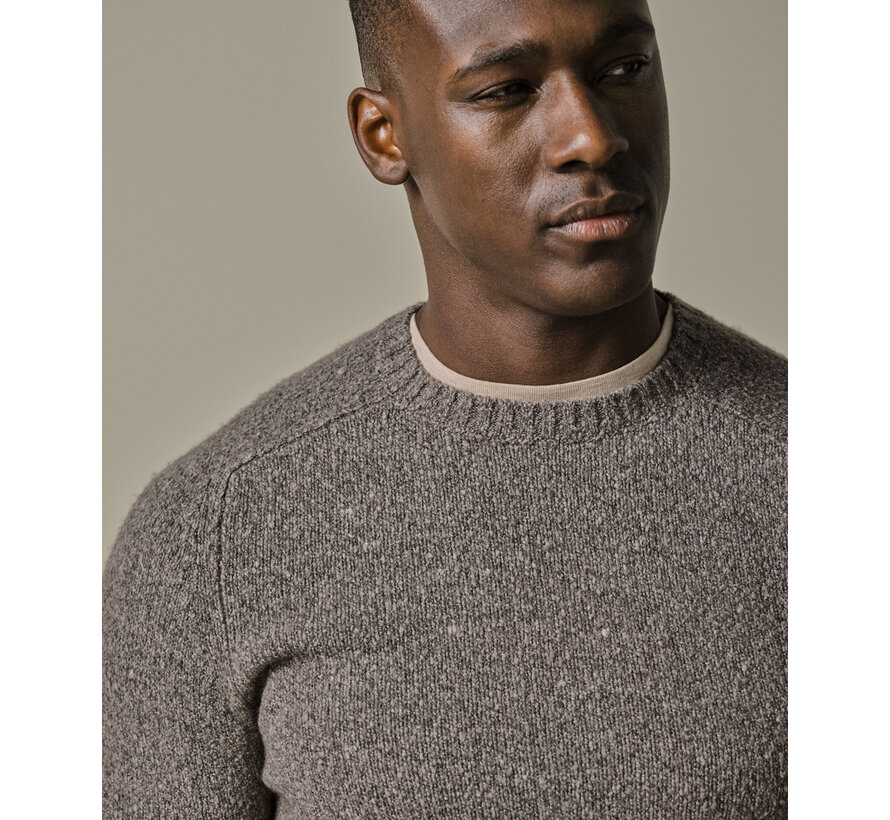 Brown boiled wool crewneck (PPWJ30037B)