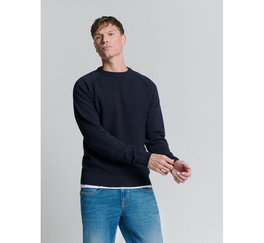 Pullover Crewneck Solid Relief Knit Blueberry (26231104 - 098)
