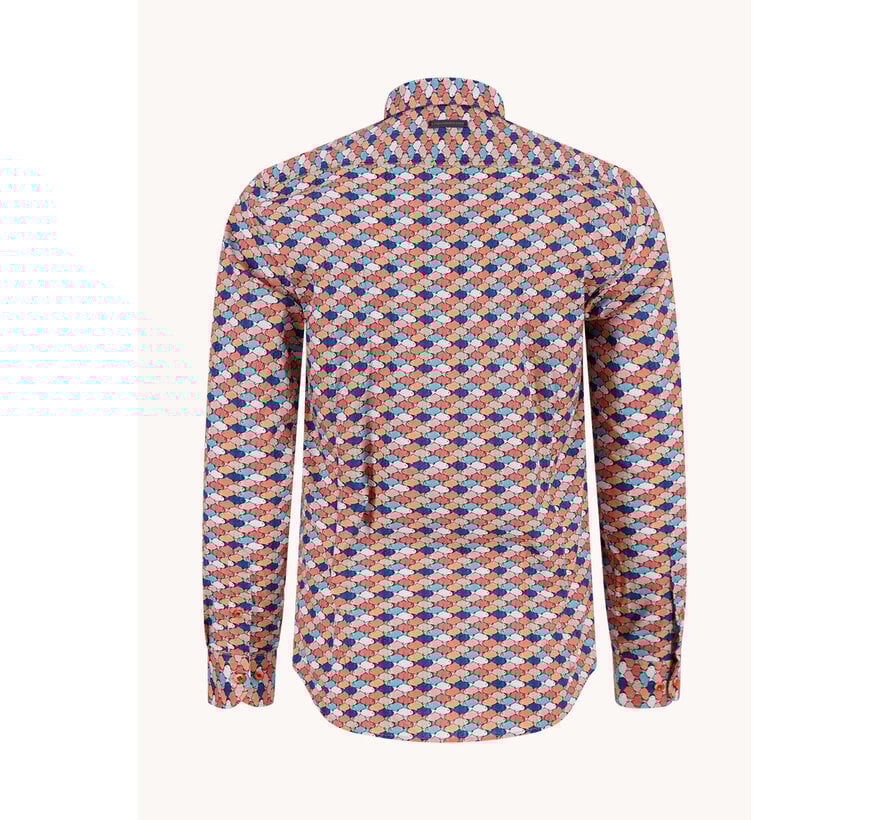 A Fish Named Fred Overhemd Shirt Graphic Fish Multicolor All Color (33.019 - 073)