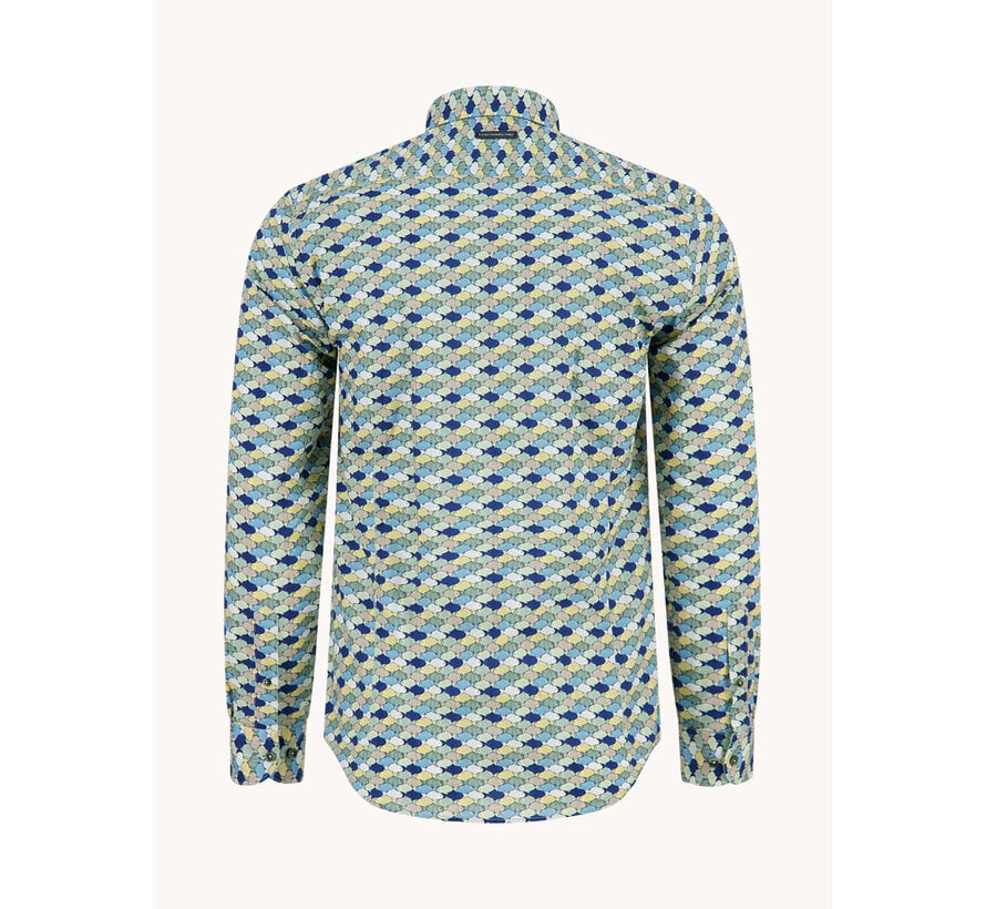A Fish Named Fred Overhemd Shirt Graphic Fish Multicolor Green (33.019 - 072)