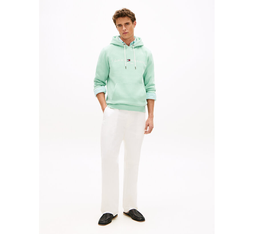 Logo Hooded Sweater Mint (MW0MW11599 - MAI)