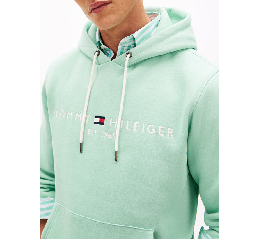 Logo Hooded Sweater Mint (MW0MW11599 - MAI)