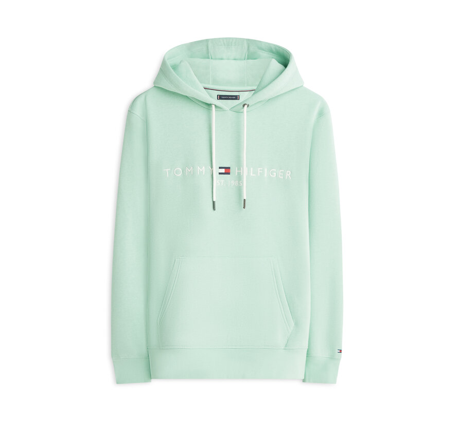 Tommy Hilfiger Logo Hooded Sweater Mint (MW0MW11599 - MAI)