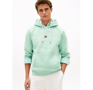Tommy Hilfiger Logo Hooded Sweater Mint (MW0MW11599 - MAI)