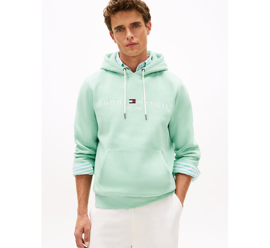 Logo Hooded Sweater Mint (MW0MW11599 - MAI)
