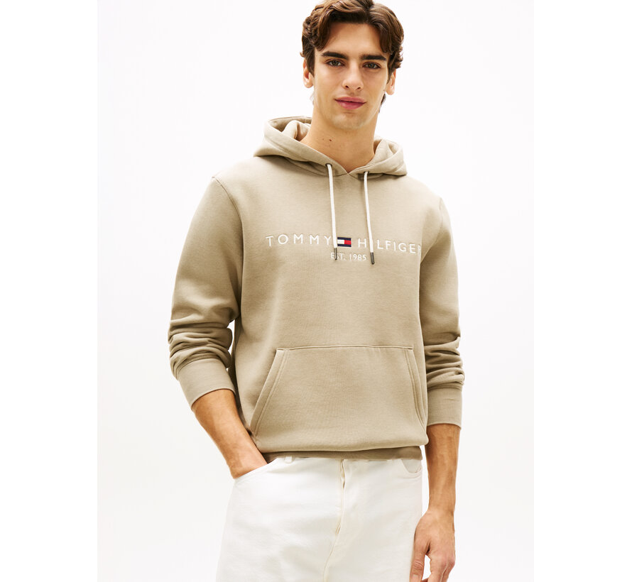 Logo Hooded Sweater Keystone (MW0MW11599 - M03)