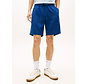 Tommy Hilfiger Chino Short Dover Linnen Blend Blue Jeans (MW0MW44353 - C3I)