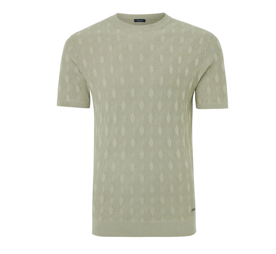 Knitted T-Shirt Gianaldo Light Green (TRKWKA134 - 901)