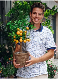 A Fish Named Fred A Fish Named Fred Polo Citrus Multicolor Blue (33.310 - 071)