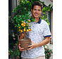 Polo Citrus Multicolor Blue (33.310 - 071)