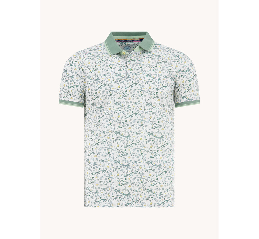 A Fish Named Fred Polo Citrus Multicolor Green (33.310 - 072)