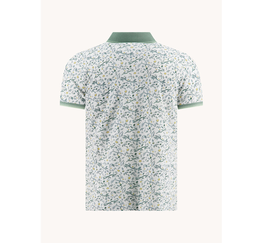 A Fish Named Fred Polo Citrus Multicolor Green (33.310 - 072)