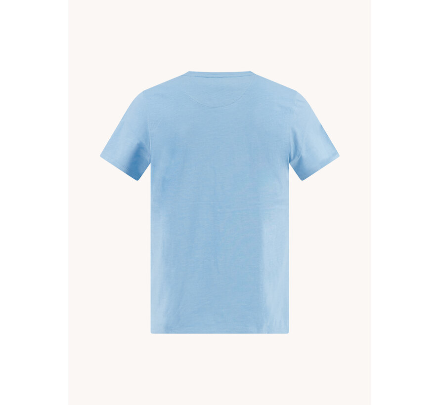 A Fish Named Fred T-shirt Fish Print Light Blue (33.401 - 610)