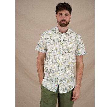 A Fish Named Fred Overhemd Korte Mouw Birdy Blooms Multicolor Green (33.058 - 072)