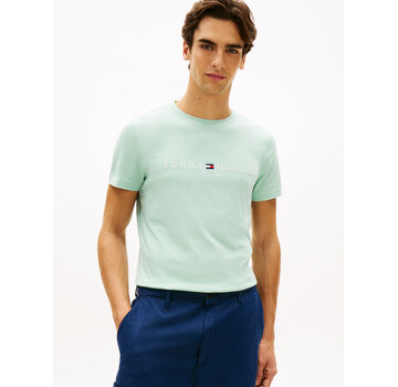 Tommy Hilfiger T-shirt Logo Crushed Mint (MW0MW11797 - MAI)
