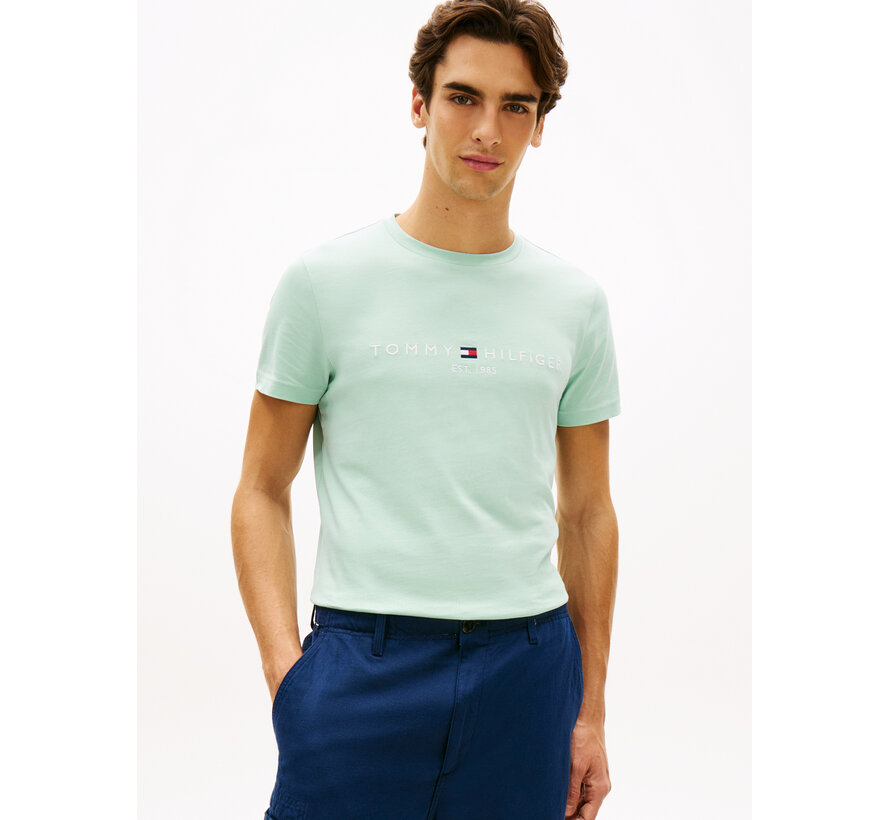 T-shirt Logo Crushed Mint (MW0MW11797 - MAI)